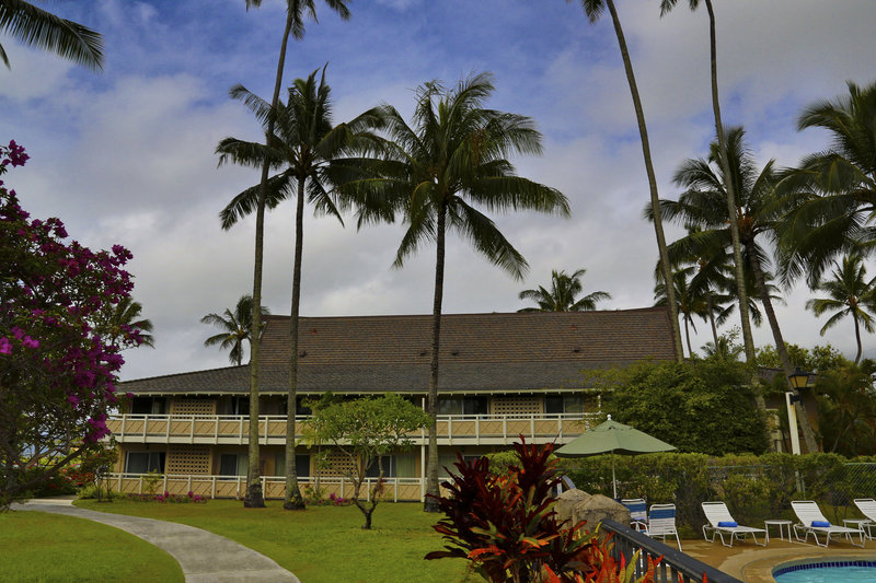 Grounds