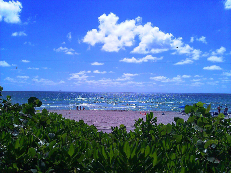 Beach behind Holiday Inn Miami Beach Oceanfront