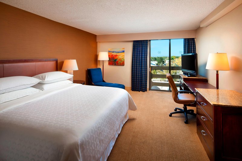 Standard King Guest Room