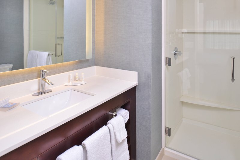 One-Bedroom Suite - Bathroom