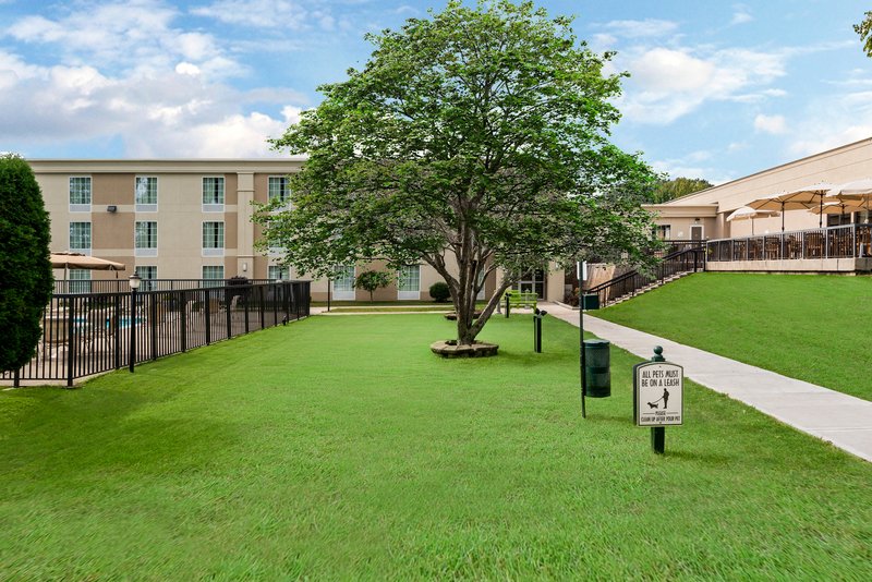 Enjoy our landscape while walking you pets