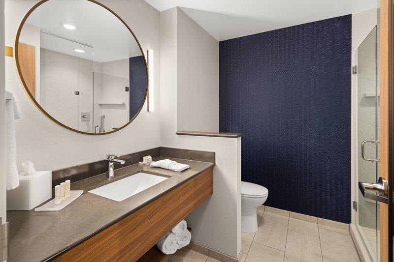 Guest Bathroom - Walk-in Shower